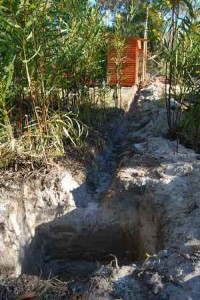 Boggy Greywater_260